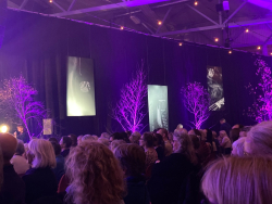 OSAFESTIVALEN 23. - 26. OKTOBER 2025. EIN FESTIVAL FOR ALLE